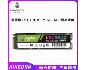 黑金刚KSX3200 256G M.2固态硬盘