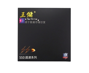 王储 X100-480GB SSD固态硬盘SATA3.O接口台式机笔记本通用2.5英寸