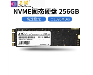 王储（X2513）256G固态硬盘 M.2接口 NVMe协议 PCIe 2280笔记本台式机通用【NVMe协议 2280】