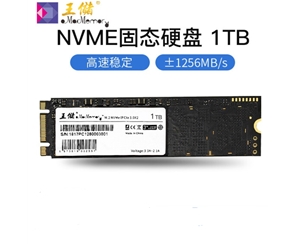 王储（X2513）1TB固态硬盘 M.2接口 NVMe协议 PCIe 2280笔记本台式机通用【NVMe协议 2280】