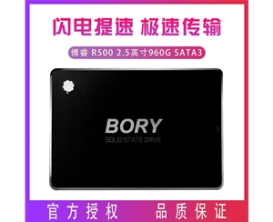 BORY博睿 R500 2.5英寸960G SATA3 台式机 笔记本 SSD 固态硬盘