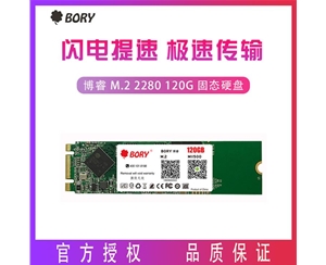 BORY博睿 M.2 2280 120G固态硬盘SATA3